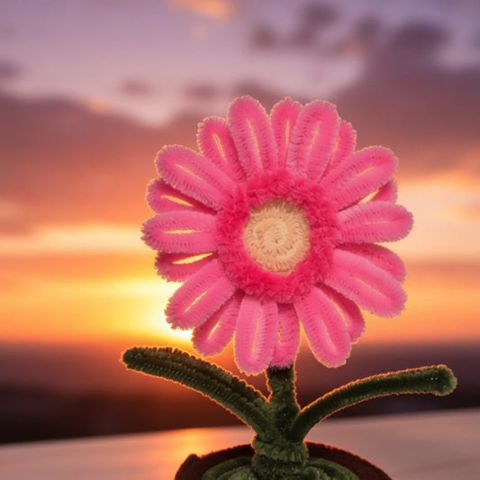Raani Handcrafted Pink Gerbera Pot - Bloom Forever Studio