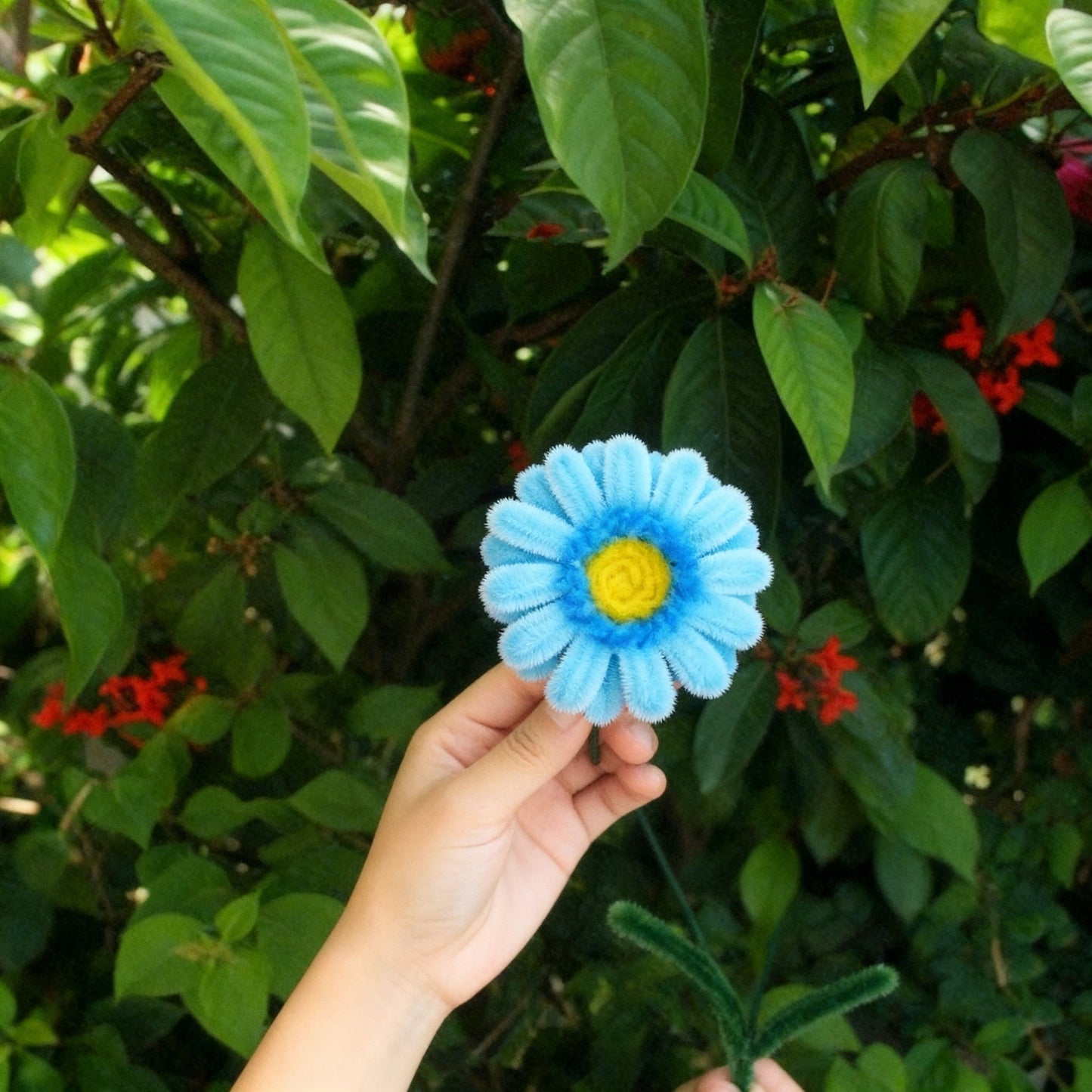 Neeli Ruh Blue Soul Daisy - Bloom Forever Studio
